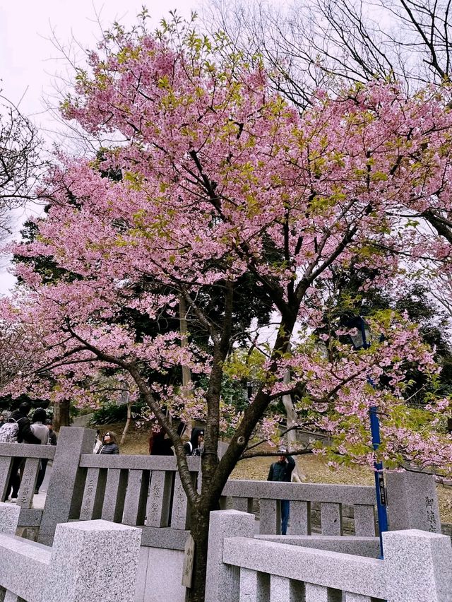 Maruyama Park