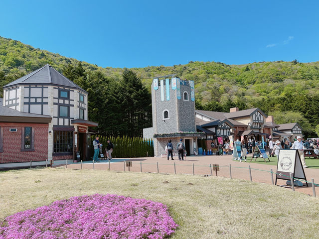 【山梨】ピンクの絨毯が一面に広がる富士芝桜