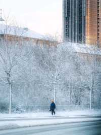 Copenhagen – A City of Design, Bicycles, and Hygge Moments