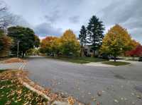 Oakville, Ontario – Lakeside Charm, Cultural Riches, and Natural Beauty