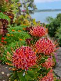 St Michael’s Mount – A Tidal Journey into Myth and Majesty