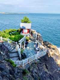 Local Wandering in Kōchi – Castles, Coastlines & Quiet Moments