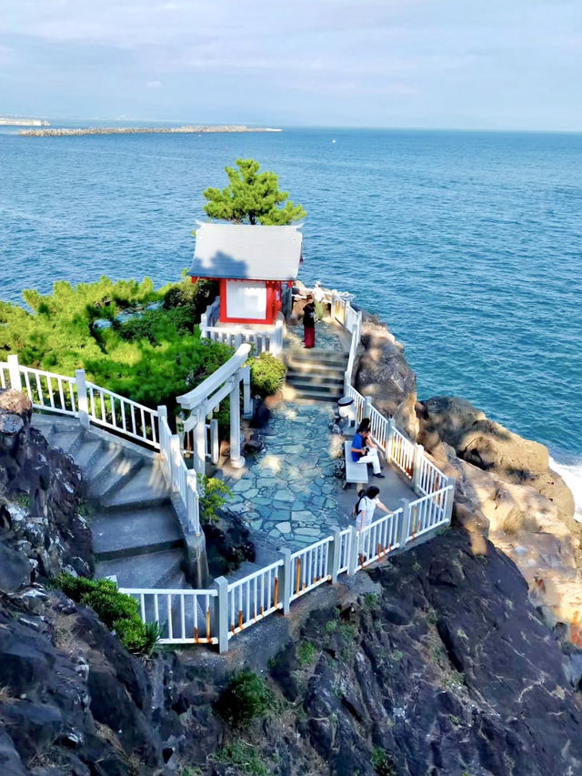 Local Wandering in Kōchi – Castles, Coastlines & Quiet Moments