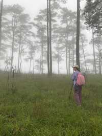 ภูสอยดาว หนาวเกินต้านนน