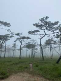 ภูสอยดาว หนาวเกินต้านนน
