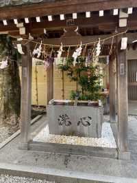 【東京都品川🇯🇵 蛇窪神社】東京の白蛇さまへ☺️