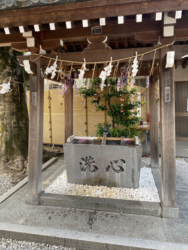 【東京都品川🇯🇵 蛇窪神社】東京の白蛇さまへ☺️