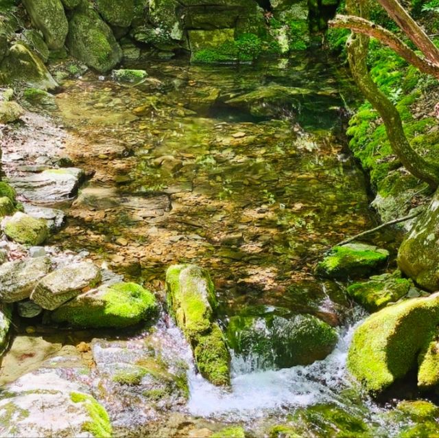 한강의 첫 시작점💚[태백 검룡소]