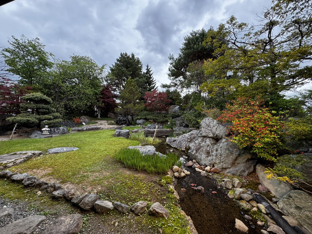 Hidden Gem in Asahikawa: A Tranquil Kaiseki Experience with a Garden View