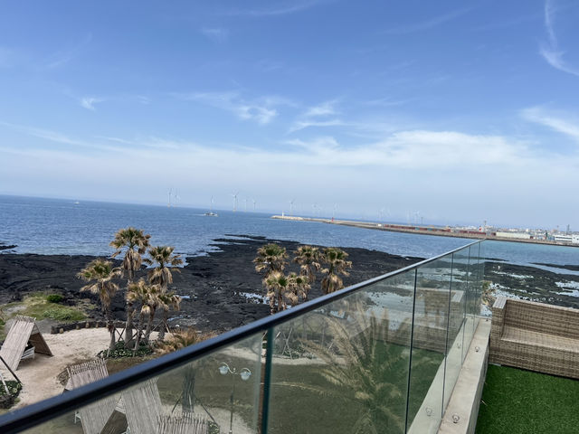 제주도 카페 투어 여행
