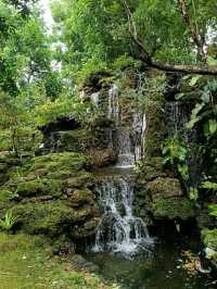 Changthong Heritage Park – A Living Museum of Ancient Trees in Chiang Mai