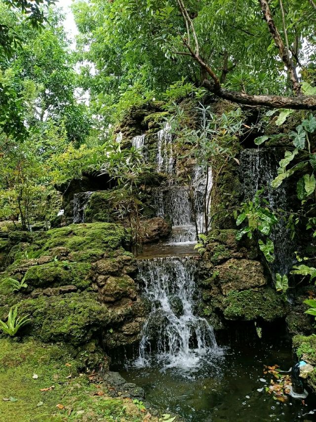Changthong Heritage Park – A Living Museum of Ancient Trees in Chiang Mai