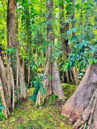 Changthong Heritage Park – Nature, Culture & Serenity Combined