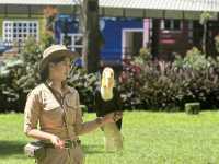 Ultimate Self-Drive Safari Day at Taman Safari Bogor — Jakarta Getaway Guide! 🚗🦓🦒