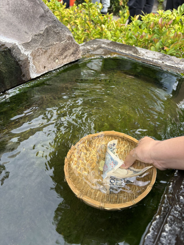 2025年🐍最強のパワースポット〝東京の白蛇様〟蛇窪神社⛩️⟡.·