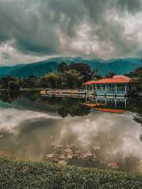 Serene Reflections and Old-World Charm at Taiping Lake