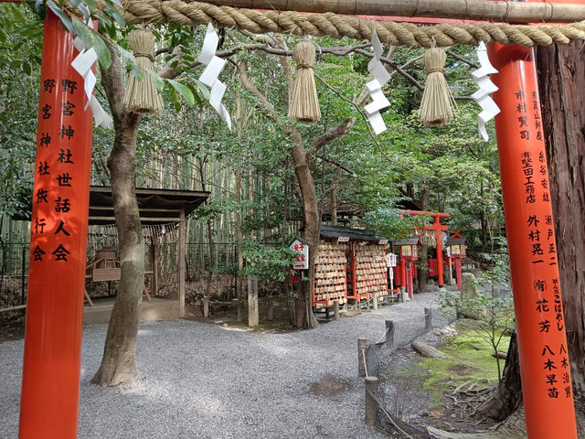嵐山竹林の小径