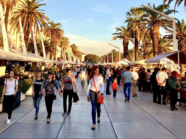 Time Travel with a Side of Gnocchi – Split’s Charm is Unreal