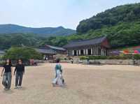중년에 홀로떠난 여행 1일차 고창 선운사에서