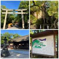 【愛媛】大山祇神社(おおやまづみじんじゃ)