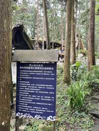 台灣南投溪頭妖怪村半日遊