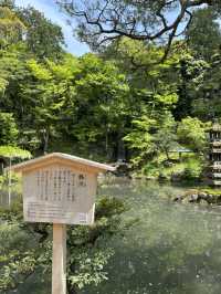 【石川県・金沢市】大庭園！兼六園🌲