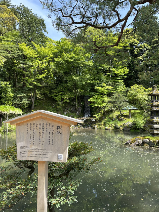 【石川県・金沢市】大庭園！兼六園🌲