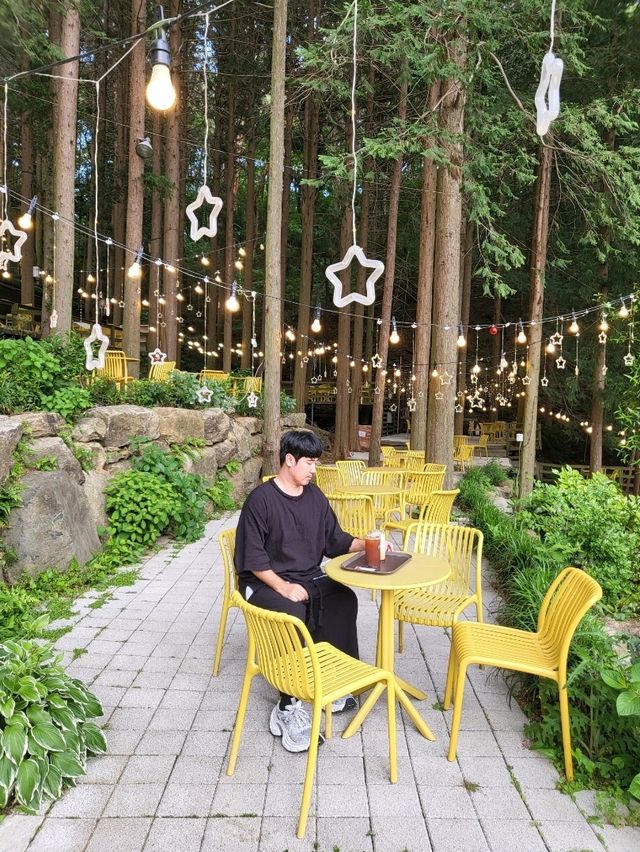 숲속 피톤치트 가득 즐기는 부산 정원카페