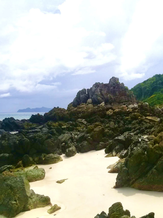入島無料でニモに会える！？シミランでお得に海の世界を体験しよう🐟💙🌴