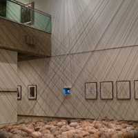 New South Wales Art Gallery | A Sanctuary Where Light, Time, and Space Converse with Art 🎨🌿