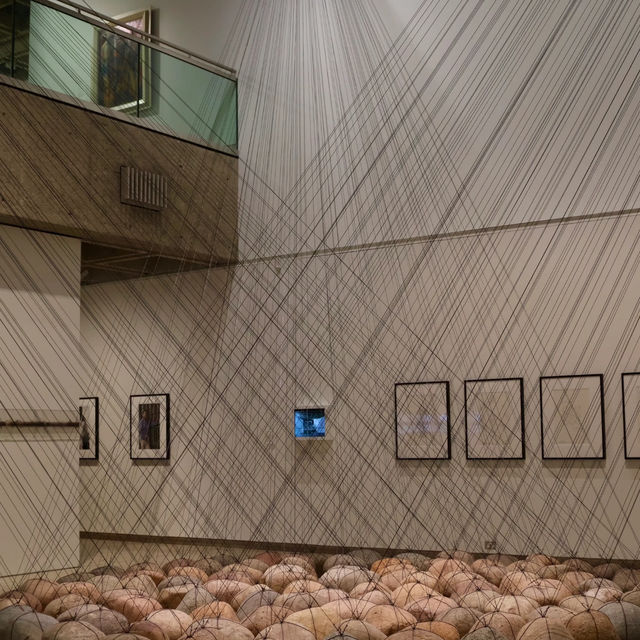 New South Wales Art Gallery | A Sanctuary Where Light, Time, and Space Converse with Art 🎨🌿
