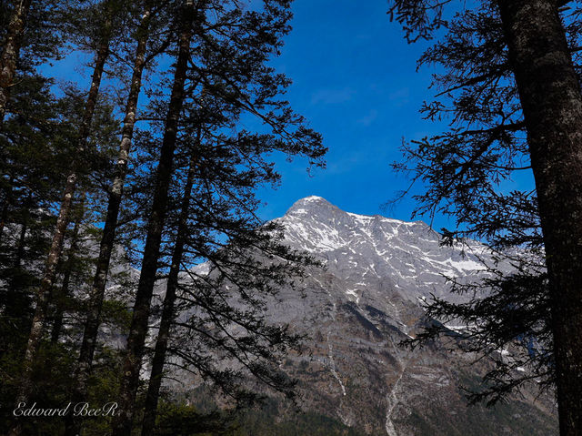 ภูเขาหิมะมังกรหยก Yulong snow Mountain