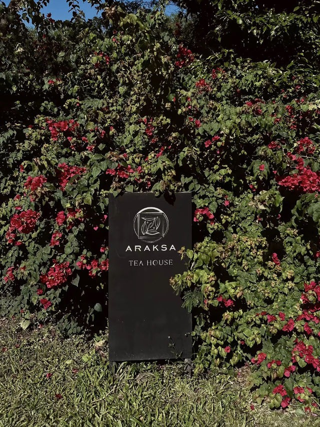 Araksa Tea Garden - Chiangmai Thailand 