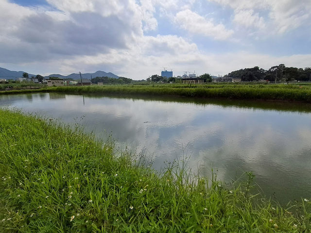 上水🇭🇰 秘景燕崗村後的塱原自然生態公園 😍