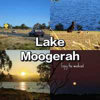 🌞 Weekend Escape to Lake Moogerah | Chill by the Water + Stargazing Adventure
