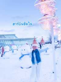 ฮาร์บินฮีลใจ