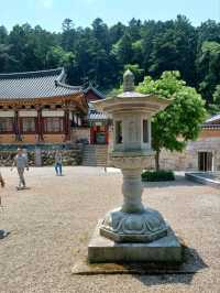 숲길 데이트
