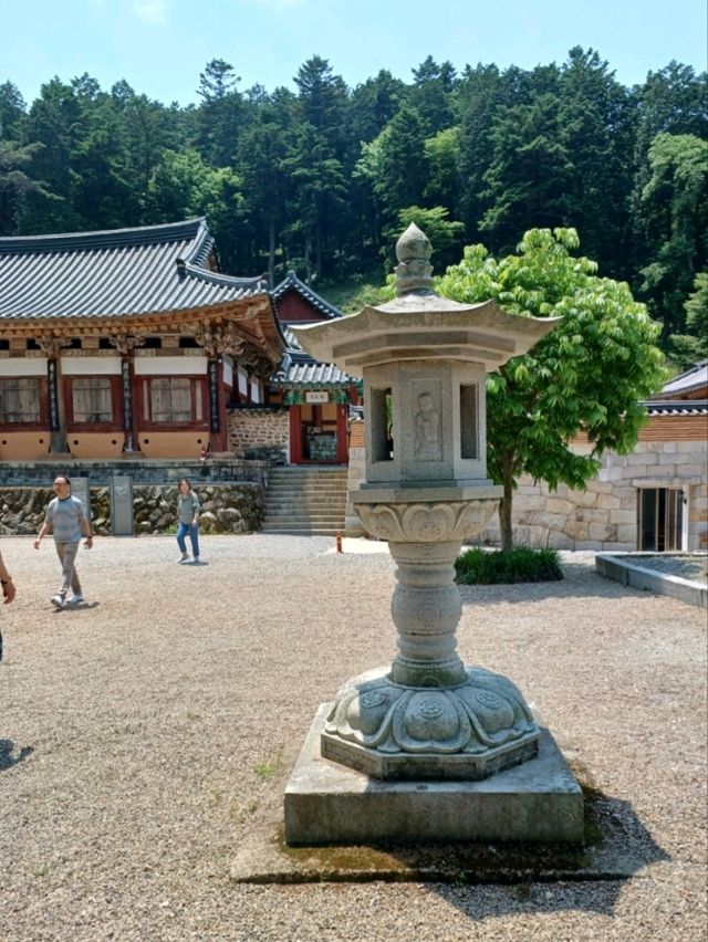 숲길 데이트