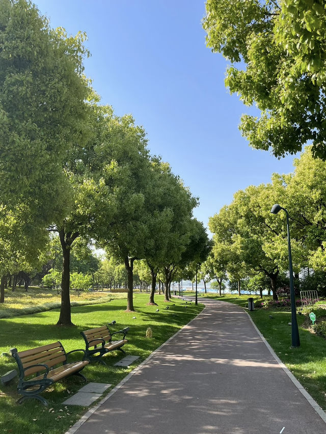 A Wetland Oasis by the River – Houtan Park, Shanghai