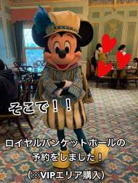 【上海ディズニー】イルミネイトを良い位置で鑑賞したい方へ