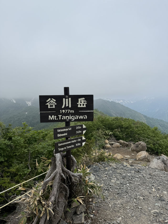 🌄天空の絶景とアクティビティを満喫！「谷川岳ヨッホ by 星野リゾート」