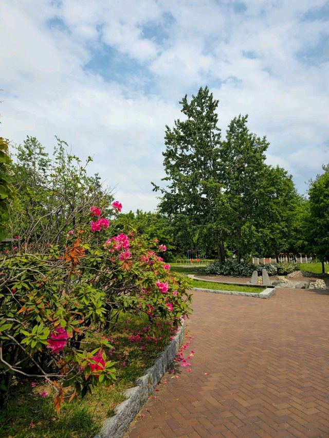해외여행 일본 삿포로 동쪽 공원 Kitano Fureai Park