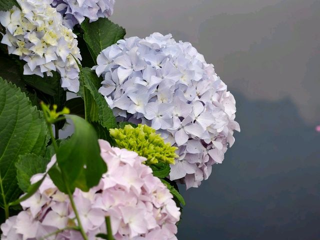 Gardens in Hangzhou, Waterways in Suzhou.