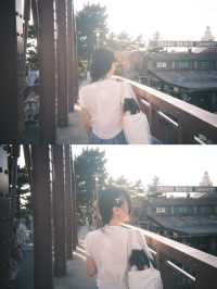 How to Get the Best Pictures at Tokyo DisneySea