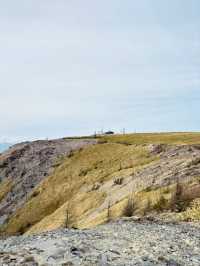 ⛰️美ヶ原高原｜信州が誇る天空の大草原