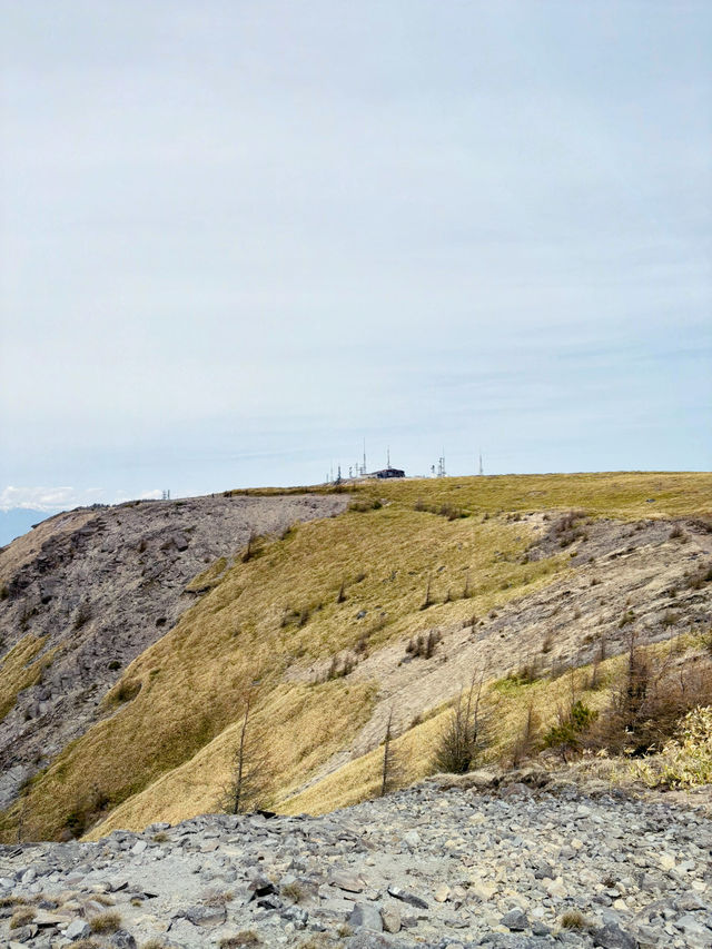 ⛰️美ヶ原高原｜信州が誇る天空の大草原