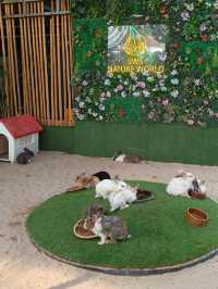 Budget Stroll Among Hanging Gardens and Bonsai