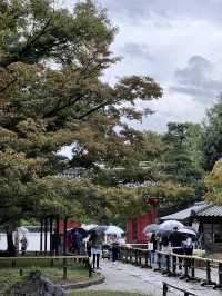 📍宇治｜世界遺產 平等院鳳凰堂