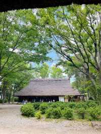 【岡山】藁葺き屋根の中で食べるランチ