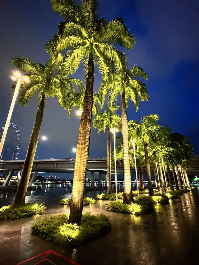 シンガポール🇸🇬トランジットのススメ